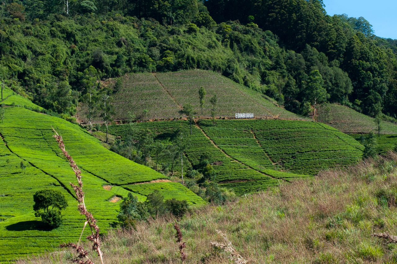13 days — Classic Sri Lanka
